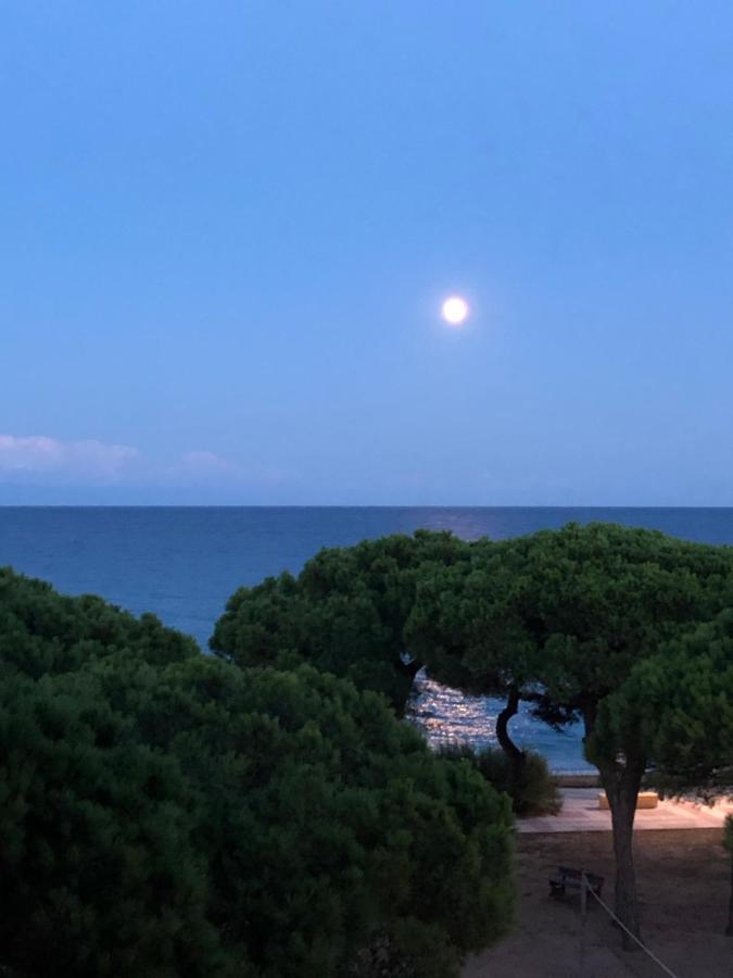 Apartment Direkt Am Strand Blanes Exteriör bild
